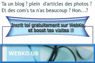 Webko